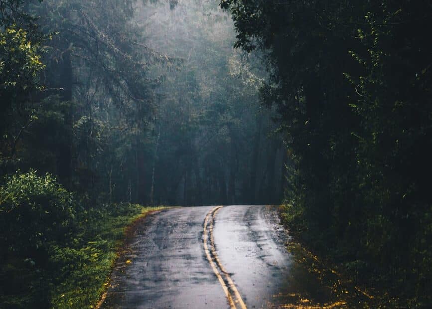 wet country road in a forest