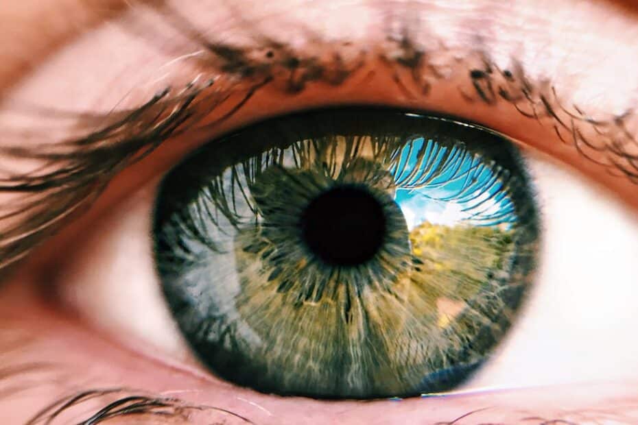 close up photo of person s eye