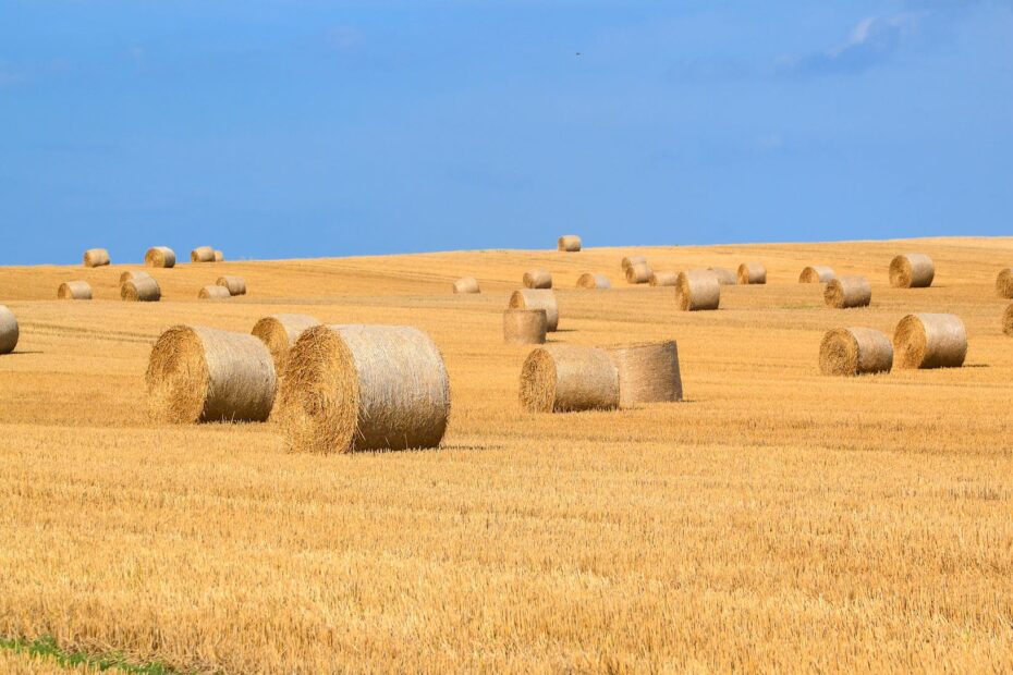 agriculture arable bale countryside