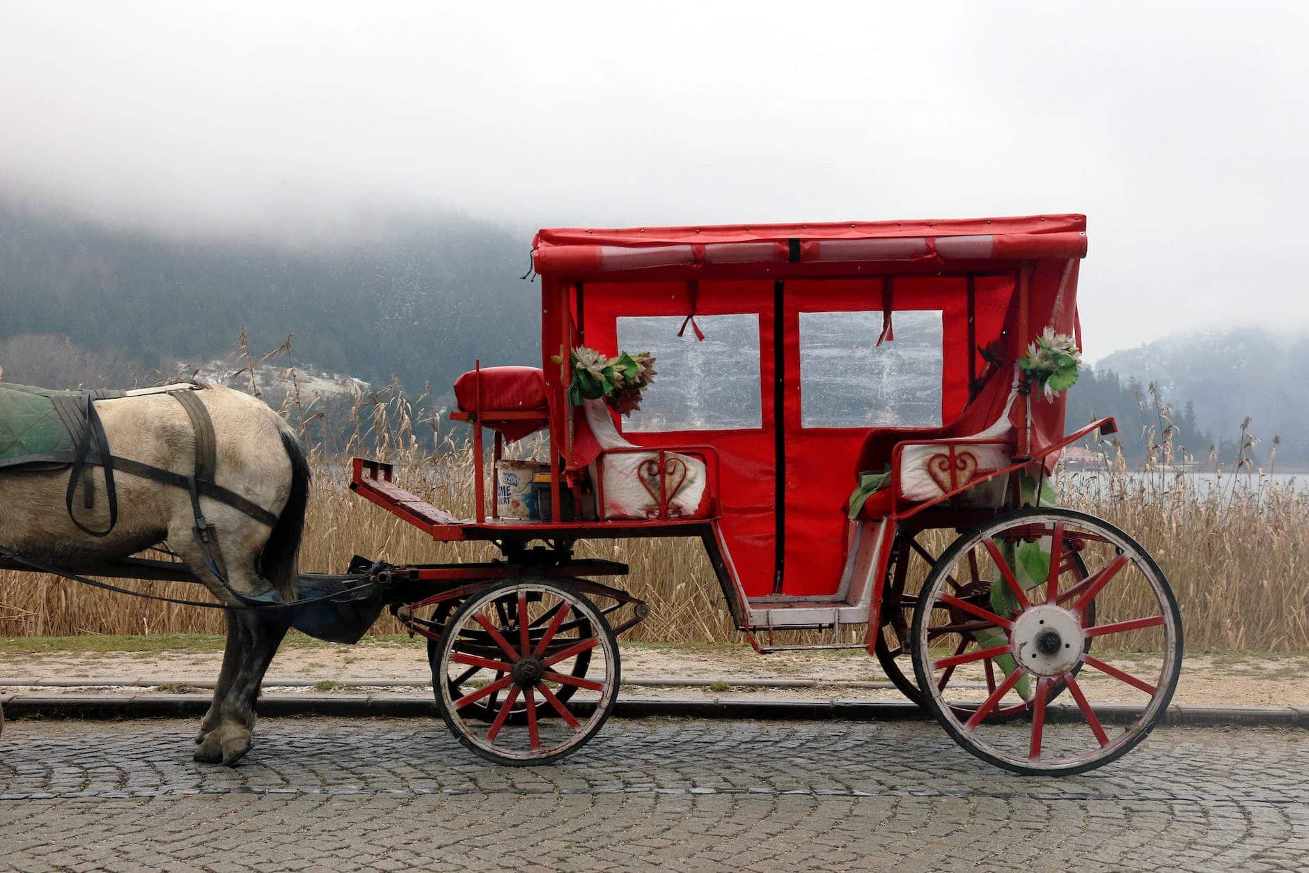 red and white horse carriage on road