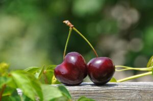 close up photography of a red cherry fruit